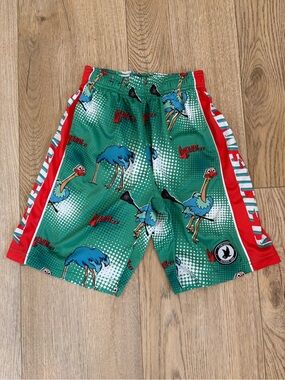 Flow Society Shorts